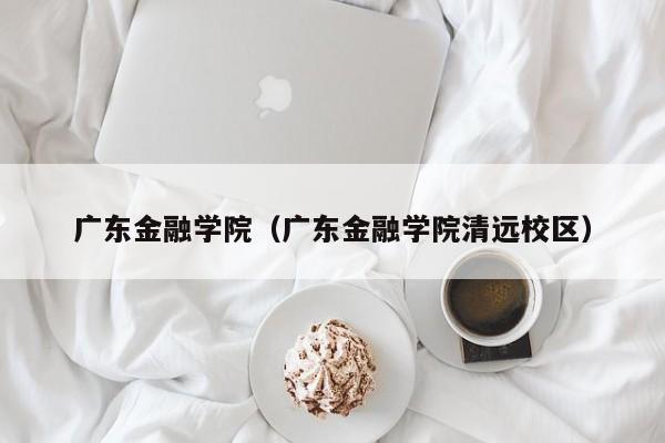 广东金融学院（广东金融学院清远校区）