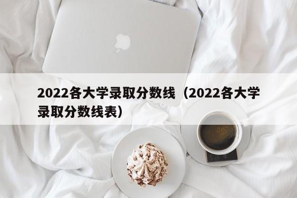 2022各大学录取分数线（2022各大学录取分数线表）