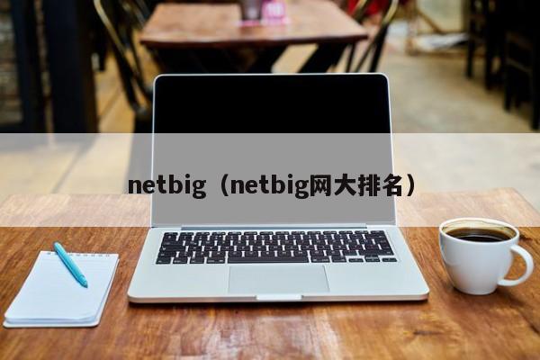 netbig（netbig网大排名）