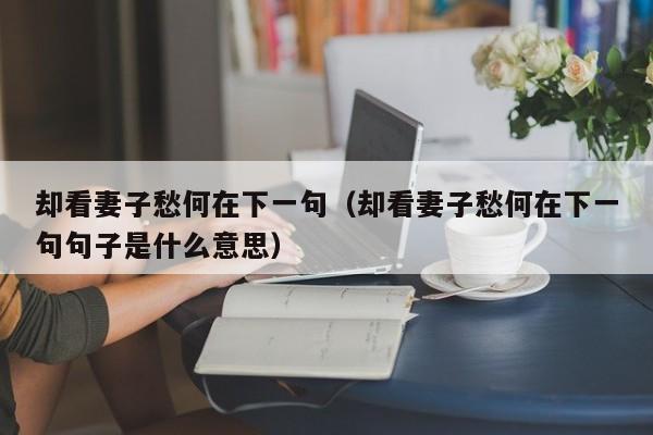 却看妻子愁何在下一句（却看妻子愁何在下一句句子是什么意思）