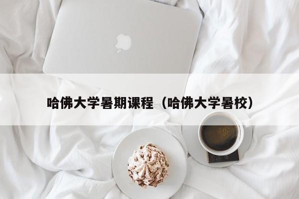 哈佛大学暑期课程（哈佛大学暑校）