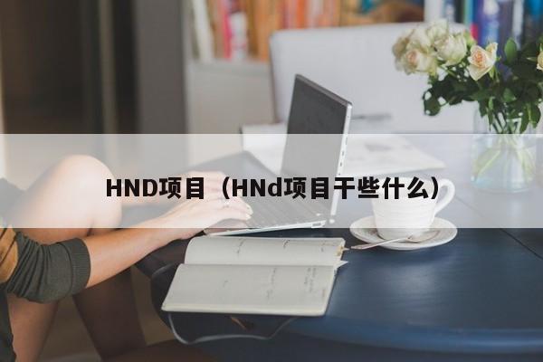 HND项目（HNd项目干些什么）