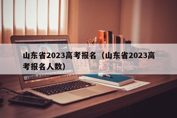 山东省2023高考报名（山东省2023高考报名人数）