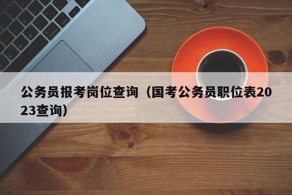 公务员报考岗位查询（国考公务员职位表2023查询）