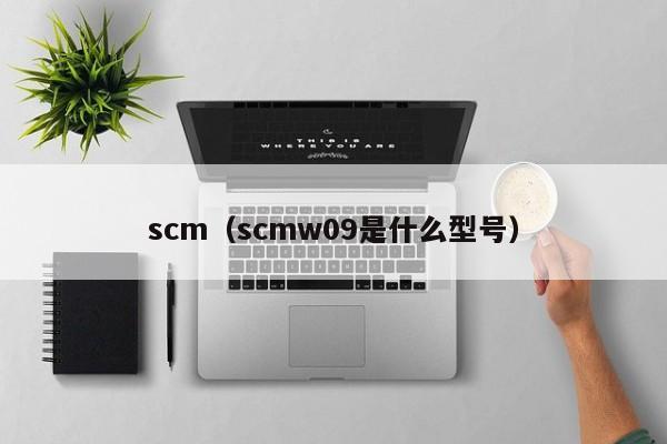 scm（scmw09是什么型号）