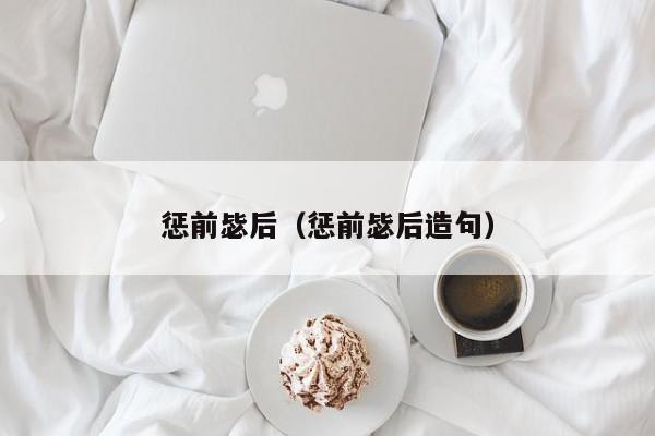 惩前毖后（惩前毖后造句）