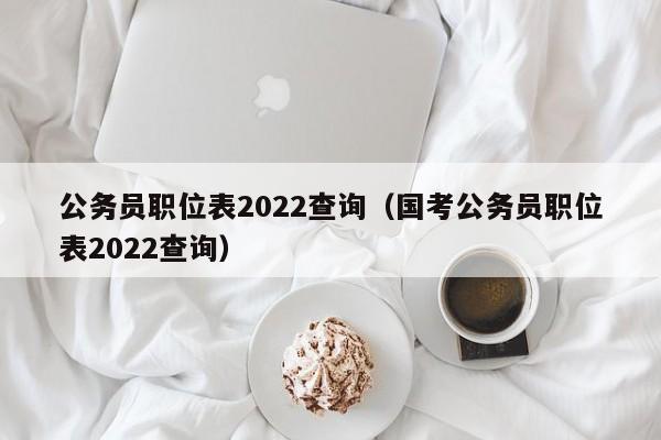 公务员职位表2022查询（国考公务员职位表2022查询）