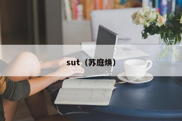 sut（苏庭焕）