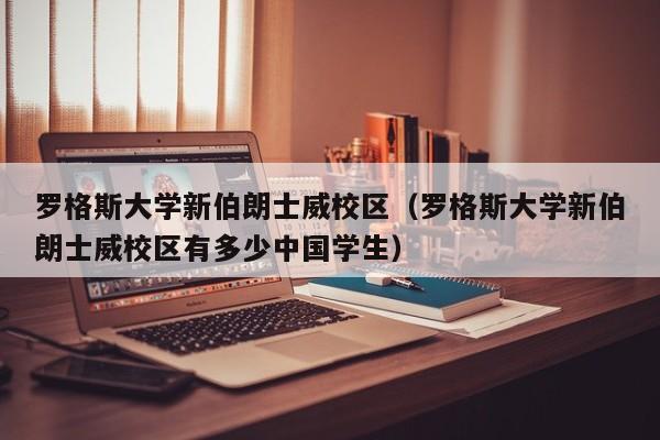 罗格斯大学新伯朗士威校区（罗格斯大学新伯朗士威校区有多少中国学生）