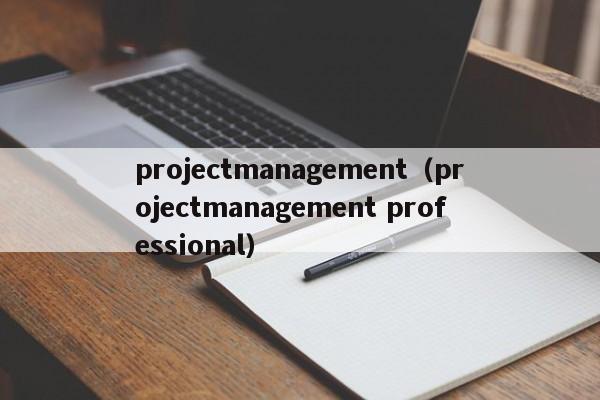 projectmanagement（projectmanagement professional）