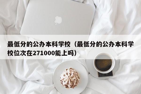 最低分的公办本科学校（最低分的公办本科学校位次在271000能上吗）