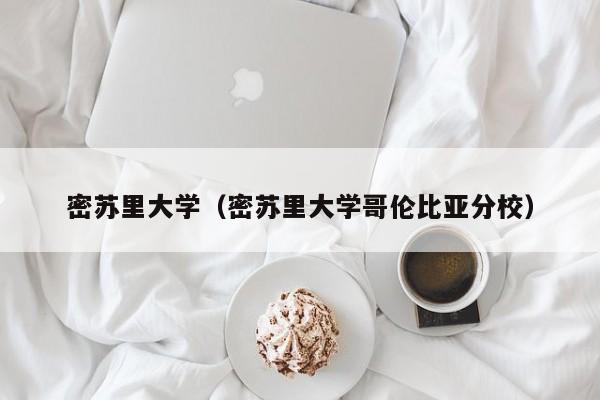 密苏里大学（密苏里大学哥伦比亚分校）