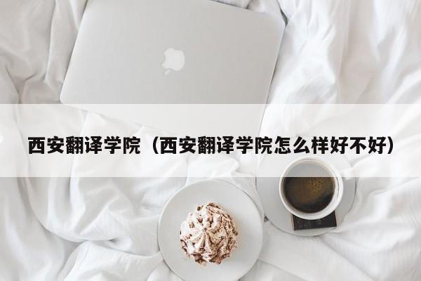 西安翻译学院（西安翻译学院怎么样好不好）