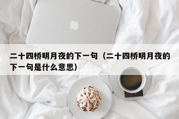 二十四桥明月夜的下一句（二十四桥明月夜的下一句是什么意思）