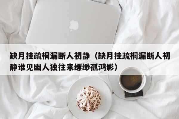 缺月挂疏桐漏断人初静（缺月挂疏桐漏断人初静谁见幽人独往来缥缈孤鸿影）