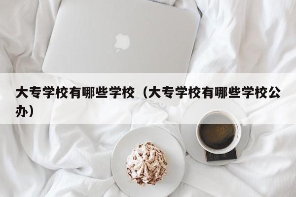 大专学校有哪些学校（大专学校有哪些学校公办）