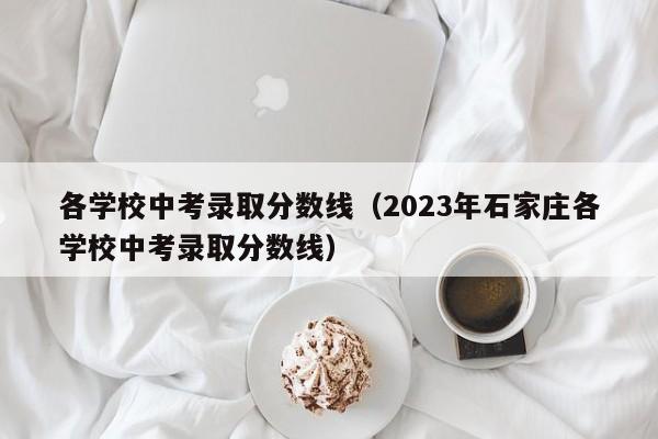 各学校中考录取分数线（2023年石家庄各学校中考录取分数线）