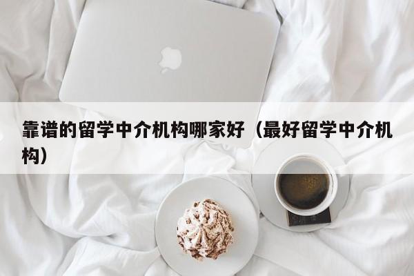 靠谱的留学中介机构哪家好（最好留学中介机构）