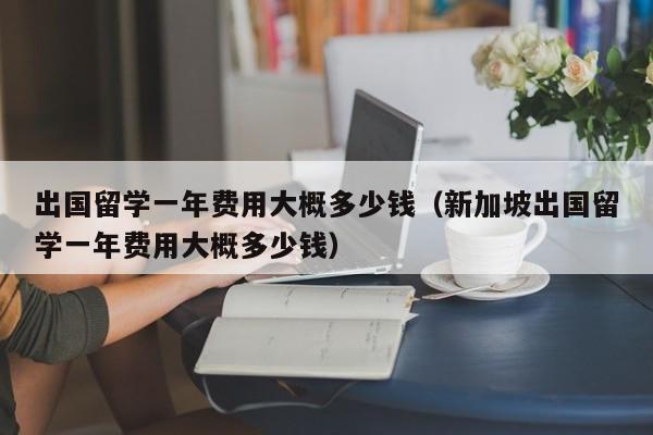 出国留学一年费用大概多少钱（新加坡出国留学一年费用大概多少钱）