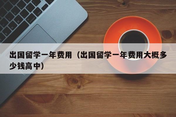 出国留学一年费用（出国留学一年费用大概多少钱高中）