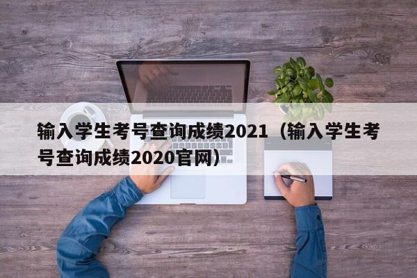 输入学生考号查询成绩2021（输入学生考号查询成绩2020官网）