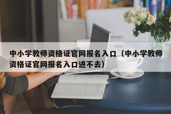 中小学教师资格证官网报名入口（中小学教师资格证官网报名入口进不去）