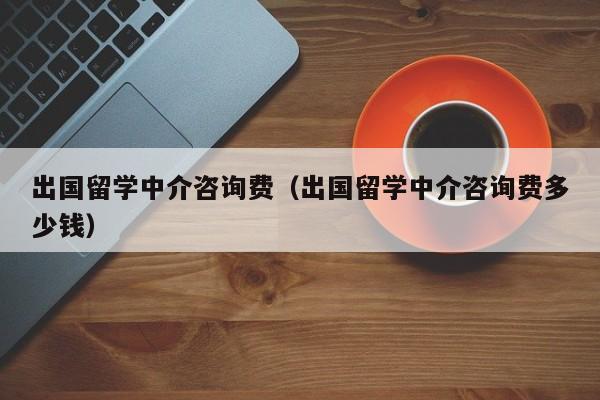 出国留学中介咨询费（出国留学中介咨询费多少钱）