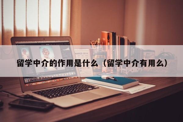 留学中介的作用是什么（留学中介有用么）