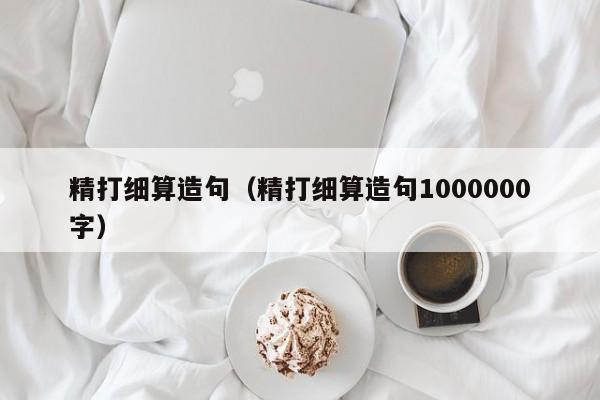 精打细算造句（精打细算造句1000000字）