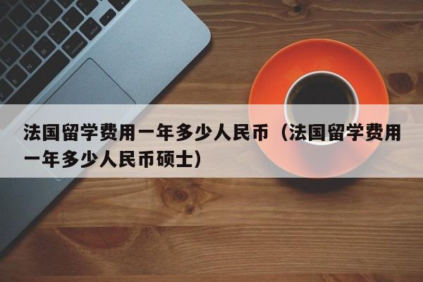 法国留学费用一年多少人民币（法国留学费用一年多少人民币硕士）