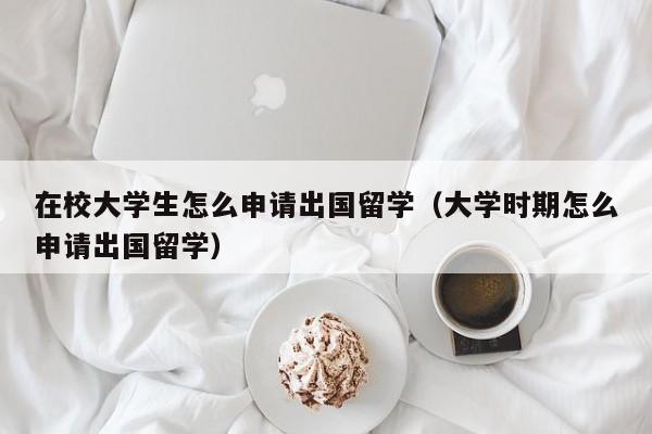 在校大学生怎么申请出国留学（大学时期怎么申请出国留学）