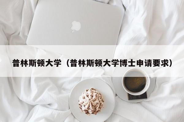 普林斯顿大学（普林斯顿大学博士申请要求）