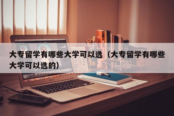 大专留学有哪些大学可以选（大专留学有哪些大学可以选的）