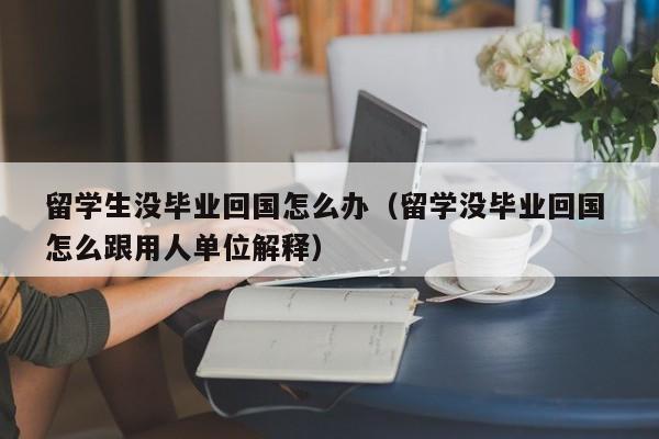 留学生没毕业回国怎么办（留学没毕业回国 怎么跟用人单位解释）