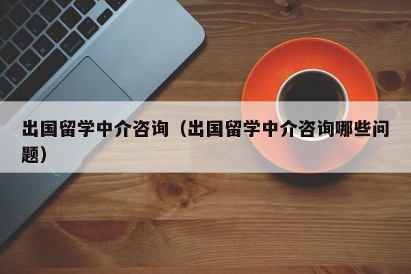 出国留学中介咨询（出国留学中介咨询哪些问题）