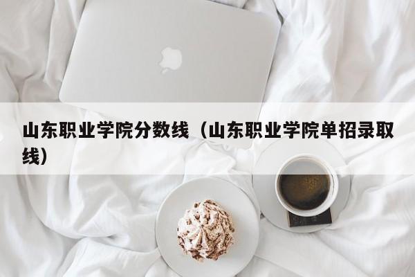 山东职业学院分数线（山东职业学院单招录取线）