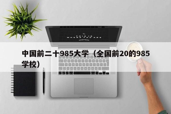 中国前二十985大学（全国前20的985学校）