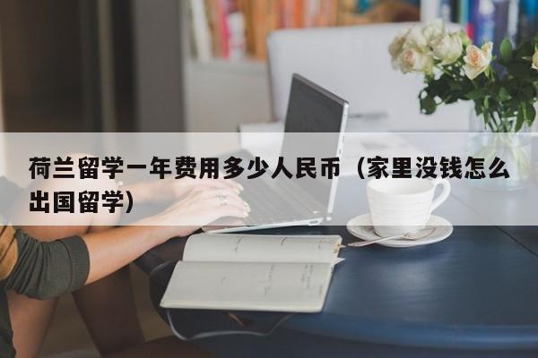 荷兰留学一年费用多少人民币（家里没钱怎么出国留学）