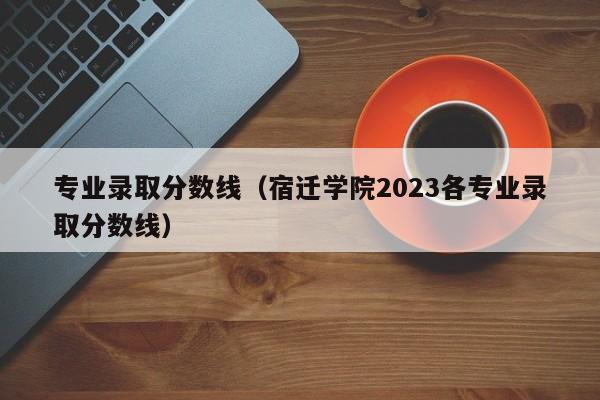 专业录取分数线（宿迁学院2023各专业录取分数线）