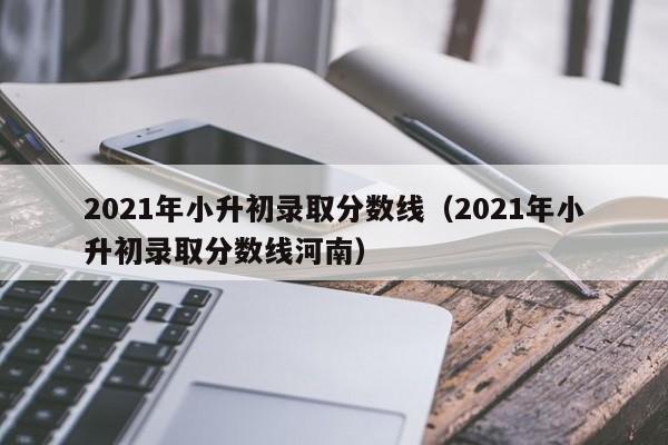 2021年小升初录取分数线（2021年小升初录取分数线河南）