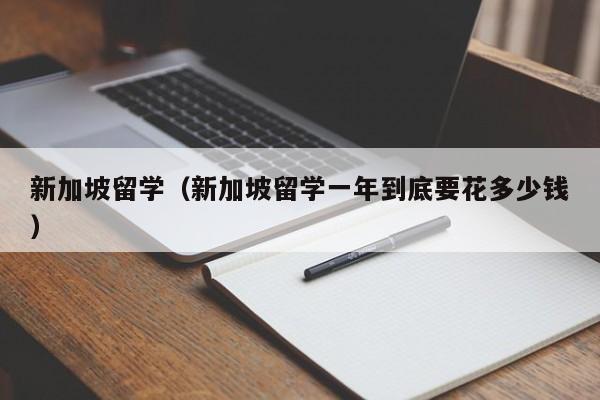 新加坡留学（新加坡留学一年到底要花多少钱）