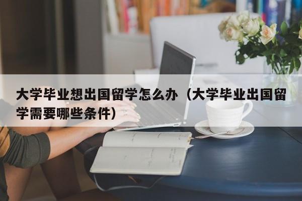 大学毕业想出国留学怎么办（大学毕业出国留学需要哪些条件）