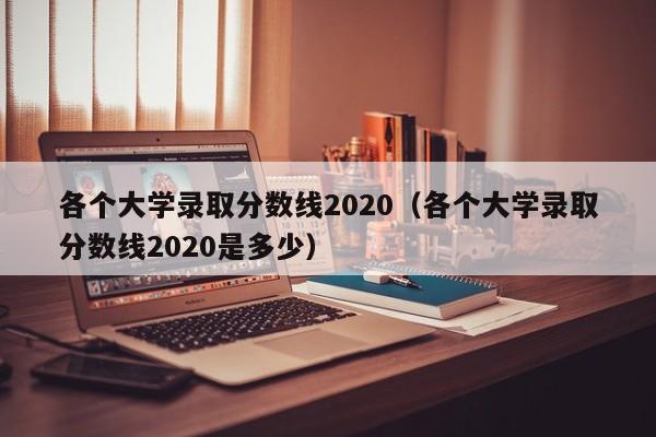 各个大学录取分数线2020（各个大学录取分数线2020是多少）