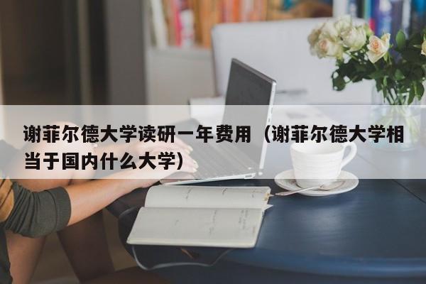 谢菲尔德大学读研一年费用（谢菲尔德大学相当于国内什么大学）