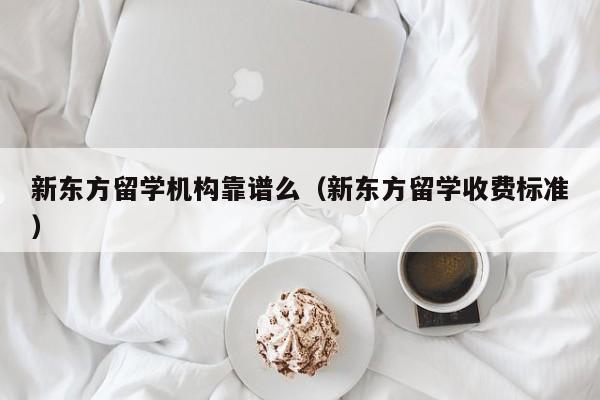 新东方留学机构靠谱么（新东方留学收费标准）