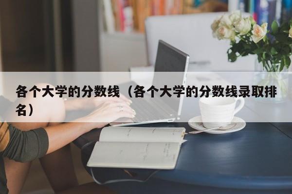 各个大学的分数线（各个大学的分数线录取排名）