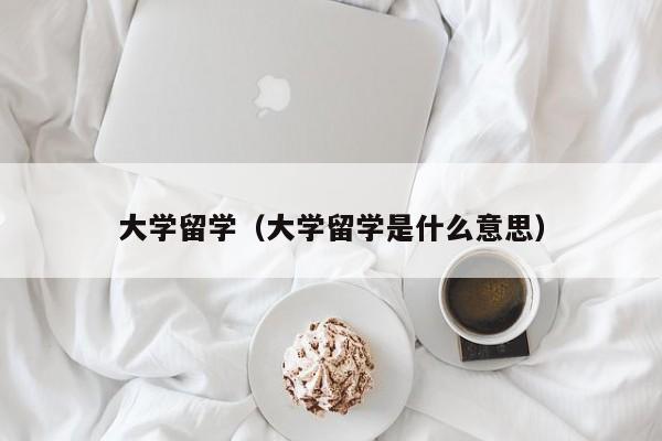 大学留学（大学留学是什么意思）