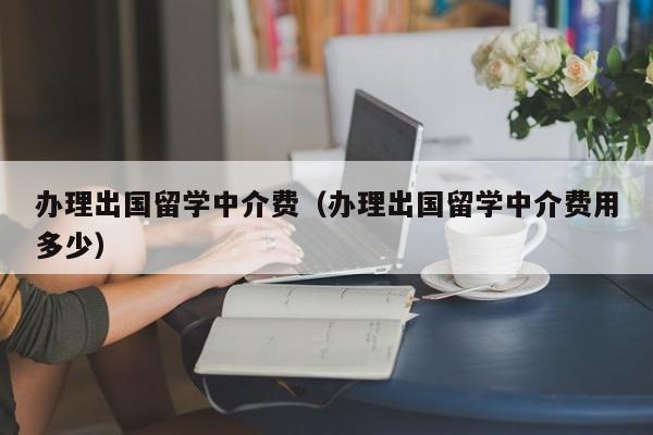 办理出国留学中介费（办理出国留学中介费用多少）