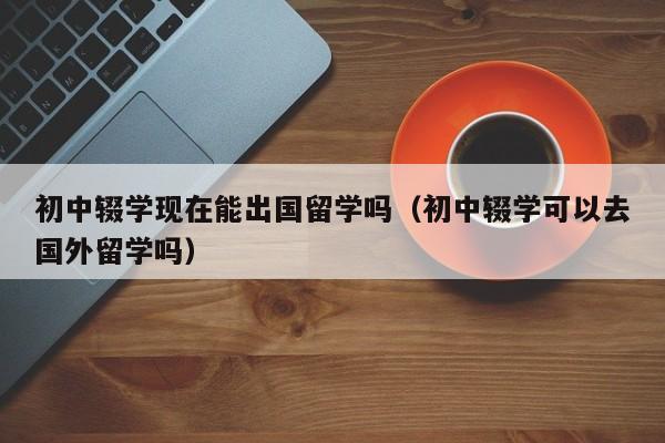 初中辍学现在能出国留学吗（初中辍学可以去国外留学吗）