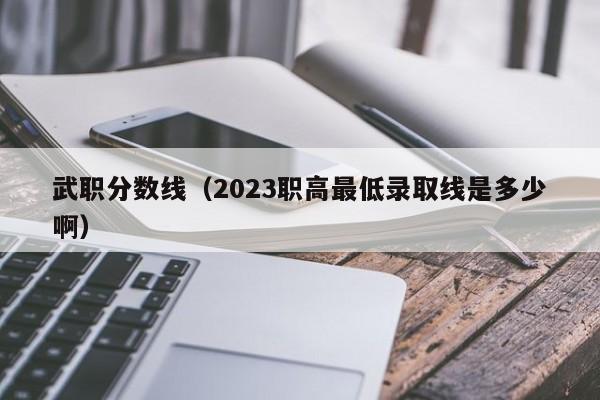 武职分数线（2023职高最低录取线是多少啊）